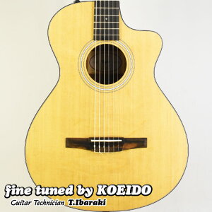 �yNew�zTaylor 112ce-N (fine tuned by KOEIDO)�i�C������PU���ڃ��f���e�C���[�@�G���K�b�g