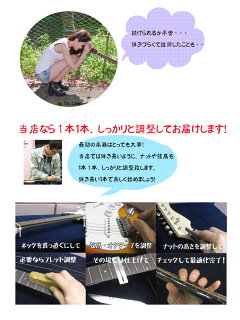 BacchusBST-1Rエレキギター入門セット【レビュー特典付き】【入門用にオススメ!】【送料無料】
