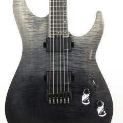 SCHECTERBH-1-STD-24F-MHBRNT/E【スポットカラーモデル】【シェクター小林信一ピック10枚&レビュー特典付き】【送料無料】