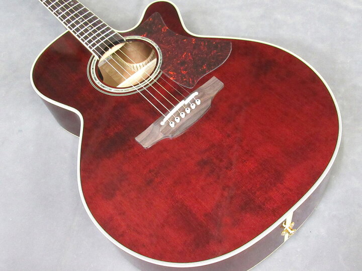 楽天市場】TAKAMINE DMP551C WR【スペア弦＆レビュー特典付き 