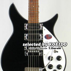 Rickenbacker325C64JG(selectedbyKOEIDO)