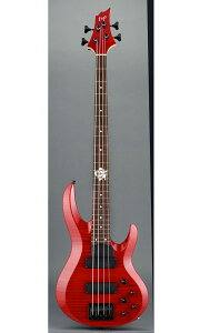 ESP×ohIK[Yohp[eBI Collaboration Roselia 䃊T Model ESP BTL ROSELIA LISA IIy󒍐Yfz