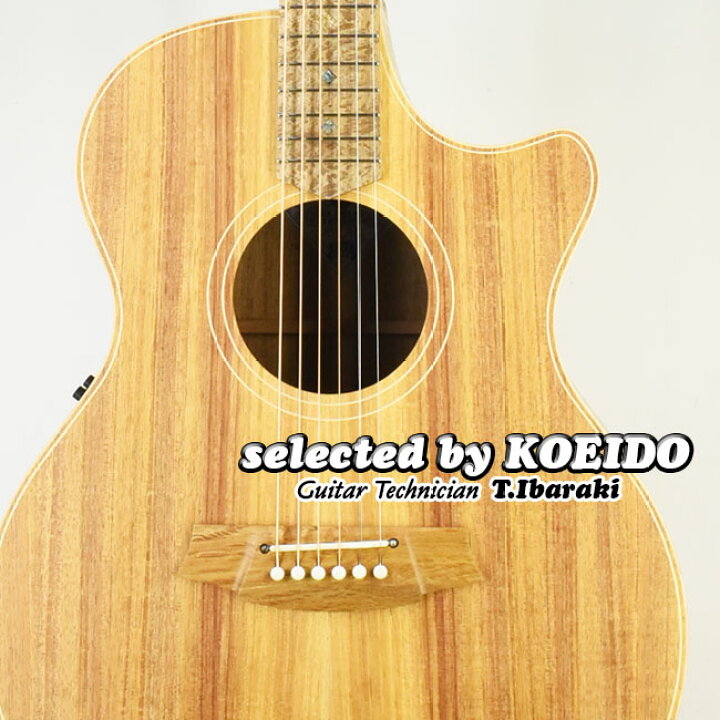 楽天市場】Cole Clark CCAN2EC-BLBL(selected by KOEIDO)店長厳選 