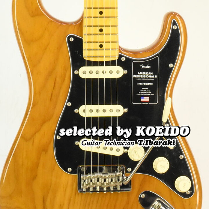 楽天市場】Fender American Professional2 Stratocaster MN Roasted 