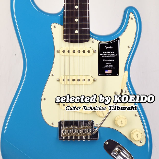楽天市場】【New】Fender American Professional2 Stratocaster RW MBL