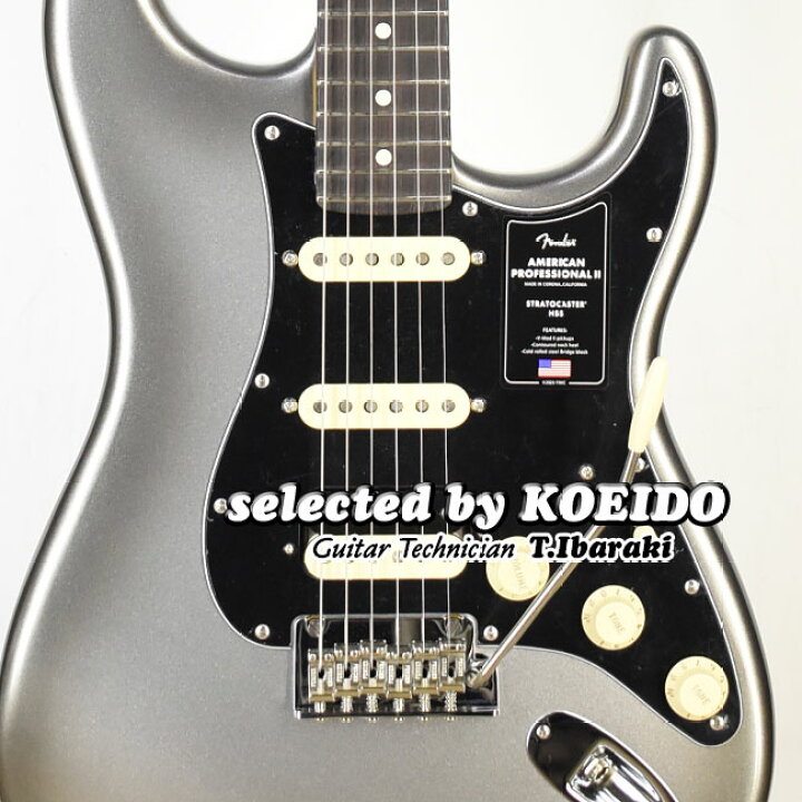楽天市場】【New】Fender American Professional2 Stratocaster HSS RW 