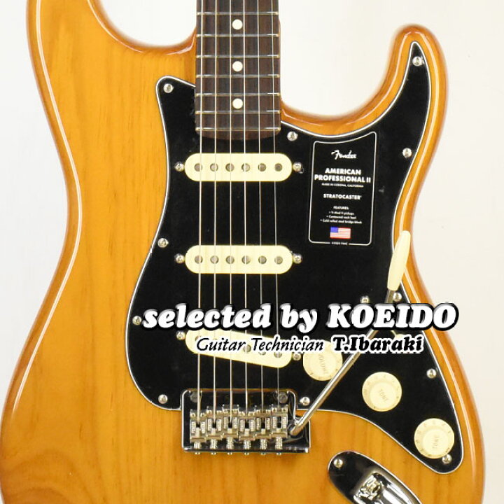 楽天市場】【夏のバーゲン！】Fender American Professional2 