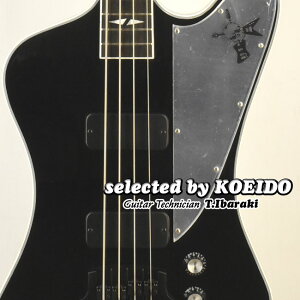 yzGibson Gene Simmons Thunderbird G2 Ebony Mirror(selected by KOEIDO)W[EVYET_[o[hoIXII