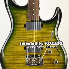 【New】Musicman Luke4 HH Gator Burst(selected by KOEIDO)店長厳選、別格の命を持つ最新ルーク4！