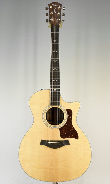 taylor414ceRW-VClass