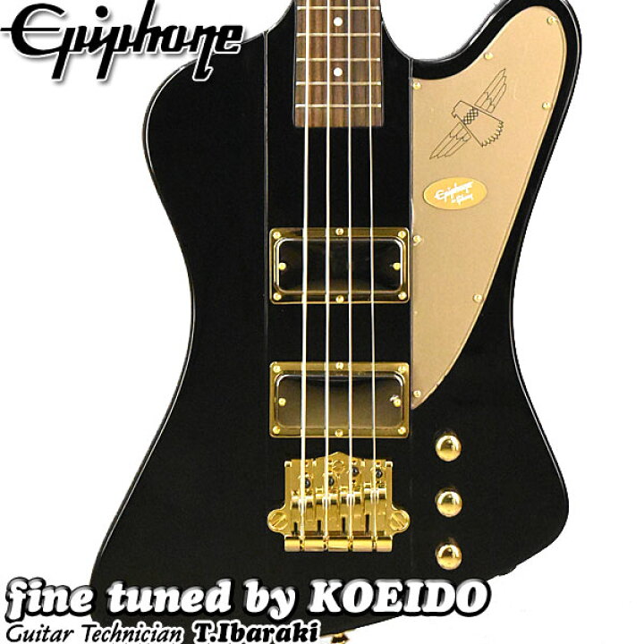 楽天市場】Epiphone Rex Brown Thunderbird Ebony エピフォン レックス 
