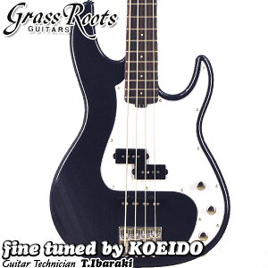 GrassRoots G-AP-PJ DMByXgbvAr[TtzyzOX[c@GLx[X@Sҁ@p