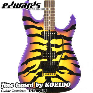 EDWARDS E-PURPLE TIGER [GEORGE LYNCH W[WE`Ef] yׂ܂IzyzGLM^[