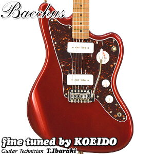 Bacchus BJM-1-RSM/M CARyXgbvT[rXIzyzobJX@GLM^[@WY}X^[ Sҁ@p