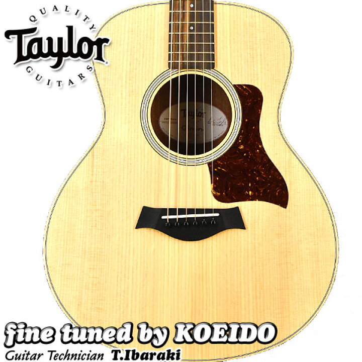楽天市場】Taylor GS MINI Rosewood 【送料無料】【Taylorピックを  