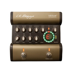 L.R.Baggs Venue D.I.�y���������z���Q�̃T�E���h�A���X�����߁I