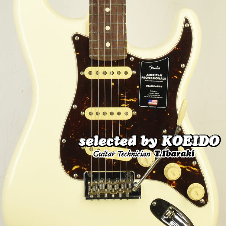 楽天市場】【夏のバーゲン！】Fender American Professional2 