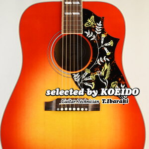 yNewzGibson HummingBird Standard Vintage Charry Sunburst(selected by KOEIDO)XIAɃptȐŐVn~Oo[hIMu\@h