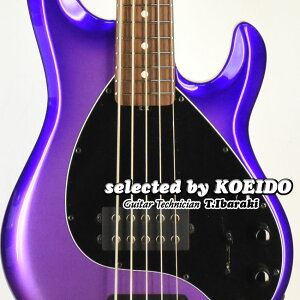 yNewzMusicman StingRay5 Sprcial RW Grape Crush(selected by KOEIDO)XIAɐNUʊĩXeBOC5I
