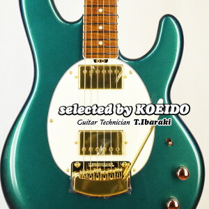 【New】Musicman StingRay II HH Cory Wong Deluxe Pine Green(selected by KOEIDO)店長厳選、別格の命を持つ最新StingReyII コリー・ウオン!