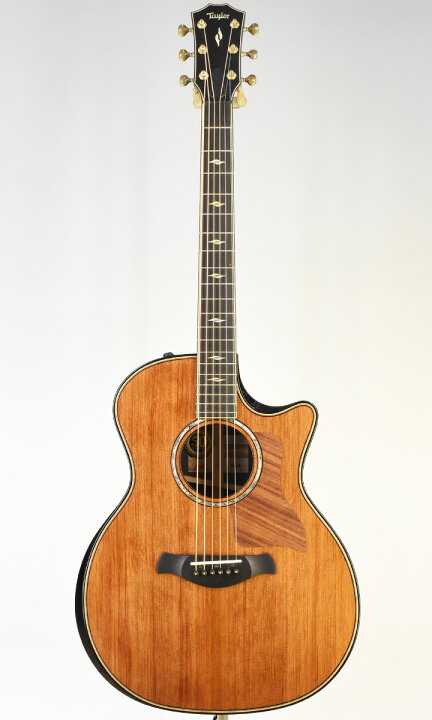 楽天市場】【New】Taylor 50th Anniversary Builder
