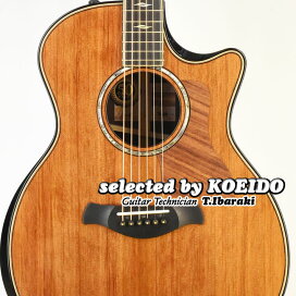 楽天市場】 輸入アコースティック > Taylor USA : 光栄堂楽器