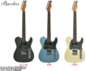 Bacchus BTE-2-RSM/R-BPPGyXgbvT[rXIzyX|bgYfzyzGLM^[@eLX^[@Sҁ@p