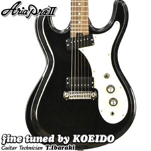 Aria ProII DM-206 BK GLM^[yNbv`[i[XyAtIzyzAA@Sҁ@p
