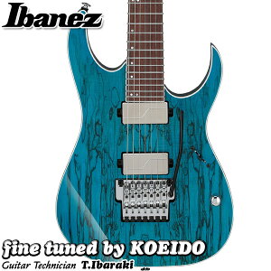 Ibanez HZK1 HAZUKI Signature 7 String Model【葉月モデル・入荷しました】【レビュー特典付き】【送料無料】アイバニーズ エレキギター NEMOPHILA KOIAI 7弦ギター
