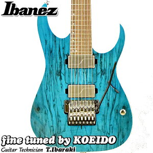 Ibanez HZK1 HAZUKI Signature 7 String Model【葉月モデル・入荷しました】【レビュー特典付き】【送料無料】アイバニーズ エレキギター NEMOPHILA KOIAI 7弦ギター