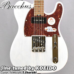 Bacchus TACTICS-ASH/RSM WBDyXyAAXgbvT[rXzyzGLM^[@obJX@eLX