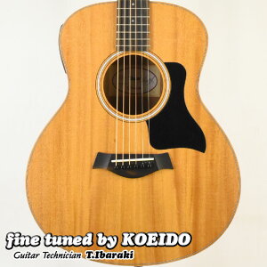 �yNew�zTaylor GS MINI-e Mahogany ES-B(fine tuned by KOEIDO)���h���œK�����ς݁I