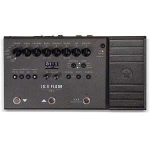Blackstar ID:X Floor Two�y���������z�}���`�G�t�F�N�^�[