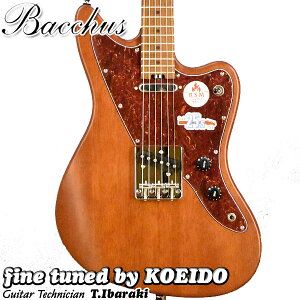 Bacchus WINDY-BREAKER/RSM BR-S�y�A�E�g���b�g�����z�y���������z�G���L�M�^�[�@�o�b�J�X
