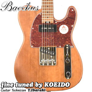 Bacchus TACTICS-STD/RSM BR-S�y�A�E�g���b�g�����z�y���������z�G���L�M�^�[�@�o�b�J�X�@�e���L���X
