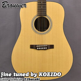 Brouwer アコースティックギター DNA-1 NA【スペア弦、クリップチューナー付き】 初心者　入門用【送料無料】