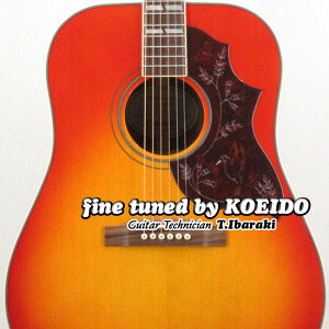 Epiphone Hummingbird Studio FCyANZT[pbNtIzyzGstH@n~Oo[h@GAR