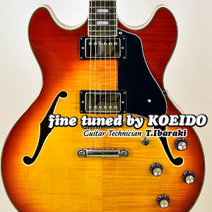 Sire Larry Carlton H7 CSyXyAtzyzTCA[@GLM^[@Z~AR