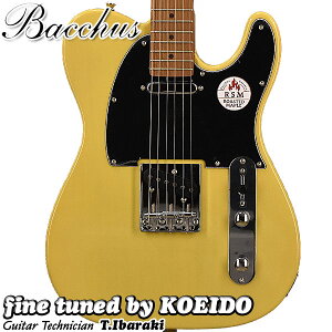 Bacchus BTE-1-RSM/M BBDyXgbvT[rXIzyzobJX@GLM^[@eLX^[ Sҁ@p