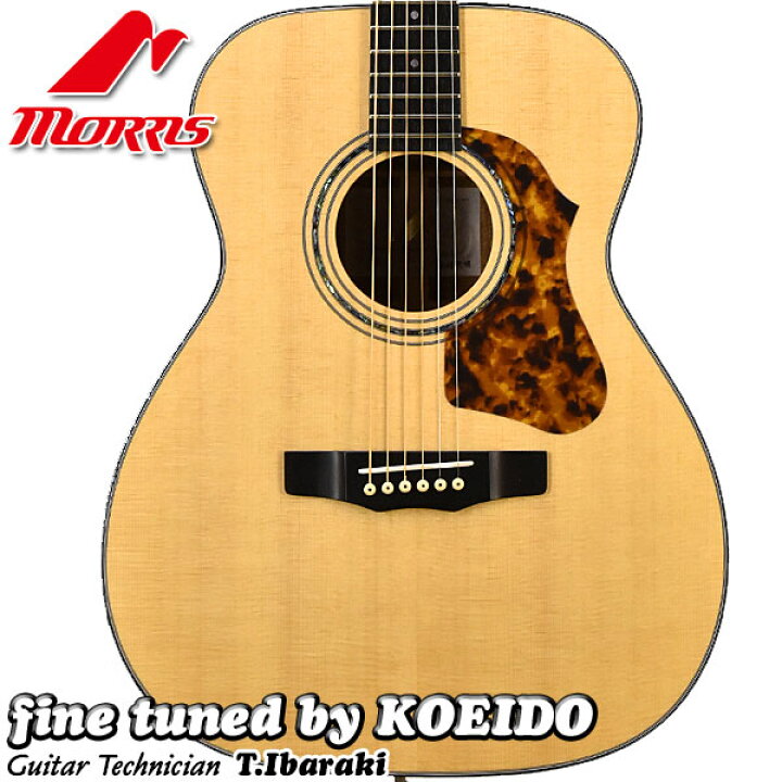 楽天市場】Morris F-LTD II【限定モデル】【クリップチューナー 