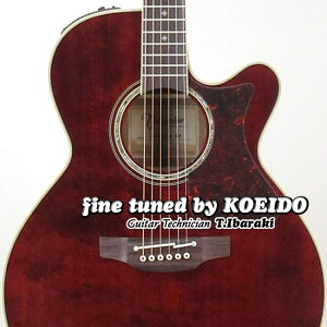 TAKAMINE DMP551C WRyXyAr[TtIzyz^J~l@GAR@AR[XeBbNM^[