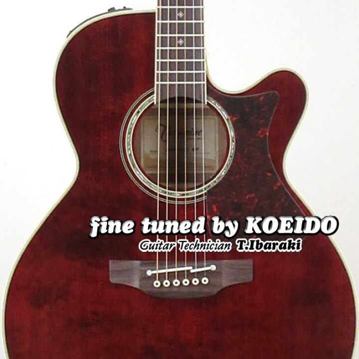 楽天市場】TAKAMINE DMP551C WR【スペア弦＆レビュー特典付き 