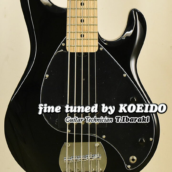 楽天市場】Sterling by MUSICMAN S.U.B Series RAY5 BLK/M【アーニー 