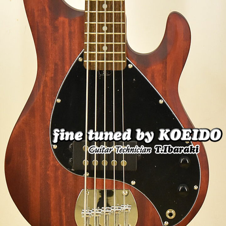 楽天市場】Sterling by MUSICMAN S.U.B Series RAY5 WS【アーニー 