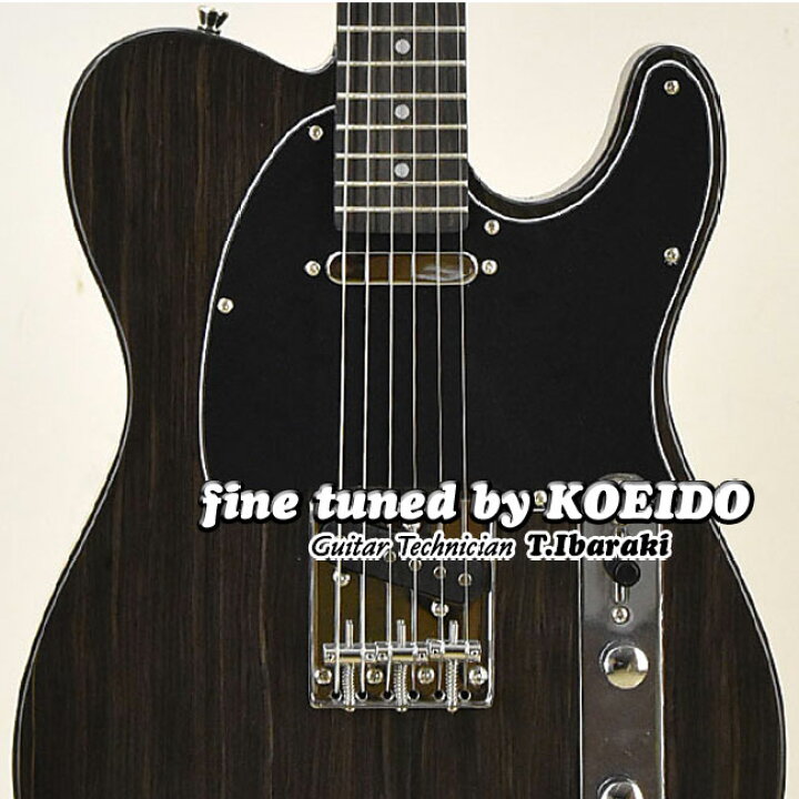 楽天市場】【光栄堂最適調整！】Bacchus BTE-TW NS【スペア弦サービス  