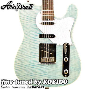 Aria ProII 615-AE200 OPGR (Opal Green)GLM^[yNbv`[i[XyAtIzyzAA@Sҁ@p