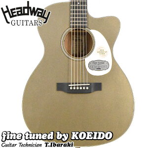 Headway HOC-V090SE OAGiOld American GoldjyzwbhEFC@AR[XeBbNM^[ GAR@X|bgYi