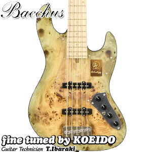 Bacchus Japan Tune-up series WL5-BP-AC/M KRB-BS-MHyAEgbgzyzobJX@GLx[X@5x[X@@Z