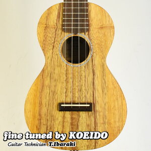 yNewzC.F.Martin C1K Uke Concert Ukulele(fine tuned by KOEIDO)ȃRAP}[`ENI