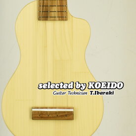 【New】Quiam Ezo's Silent Ukulele Concert EleComcon(selected by KOEIDO)店長厳選最新サイレントウクレレ！